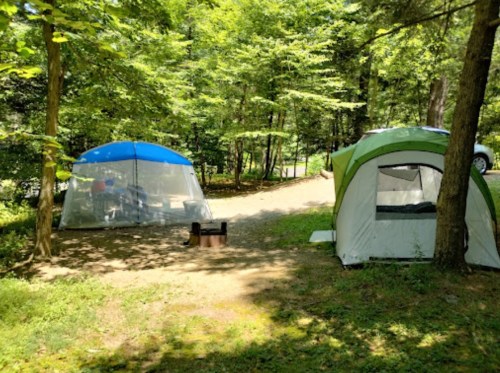 Two tents in a wooded campsite, surrounded by trees, with a fire pit in the center and sunlight filtering through.