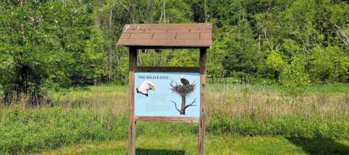 A wooden sign about bald eagles, featuring an illustration of an eagle and a nest, set in a green landscape.