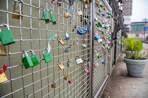 A fence covered with various colorful padlocks, symbolizing love and commitment, with greenery in the background.