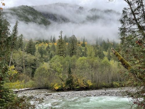 A misty landscape featuring a river, lush green trees, and mountains shrouded in fog.
