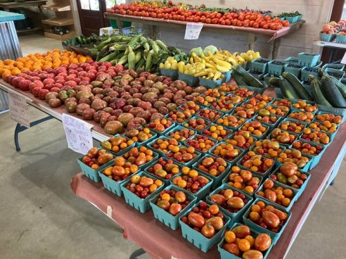 A vibrant display of various tomatoes and vegetables in baskets at a market, with colorful produce arranged on tables.
