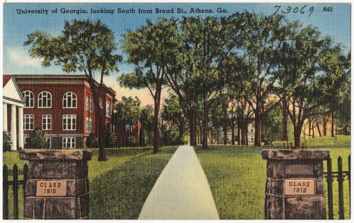 Postcard of the University of Georgia, featuring a pathway and buildings, labeled "Class 1915" on stone pillars.
