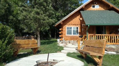 A rustic wooden cabin with a green roof, surrounded by trees and two wooden benches near a fire pit.