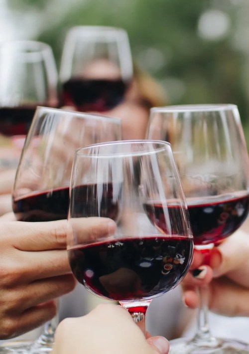 A group of hands toasting with glasses of red wine outdoors, creating a festive atmosphere.
