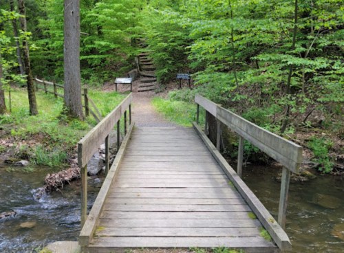 A wooden bridge over a stream, surrounded by lush green trees and a path leading into the woods.