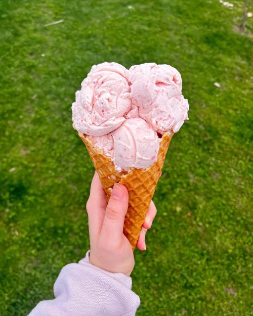 A hand holding a waffle cone with three scoops of pink ice cream against a green grass background.