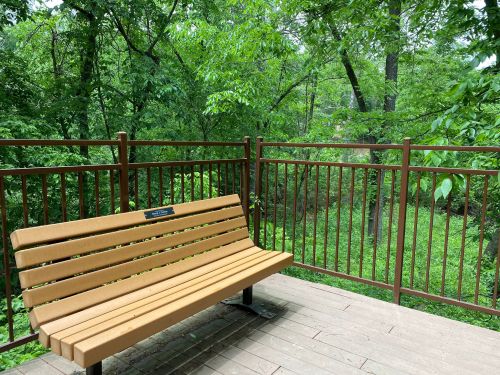 A wooden bench on a deck surrounded by lush green trees and foliage.