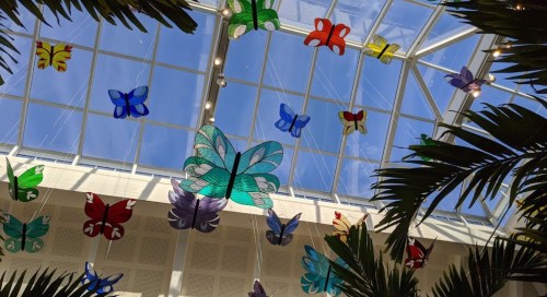Colorful butterfly decorations hang from a glass ceiling, surrounded by green palm leaves and a bright blue sky.