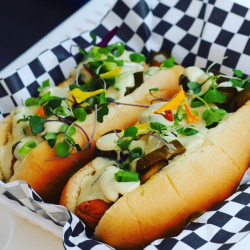 Two gourmet hot dogs topped with creamy sauce, pickles, and fresh microgreens, served in a checkered basket.