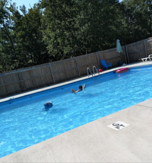 A person swims in a clear blue pool surrounded by trees and a wooden fence on a sunny day.