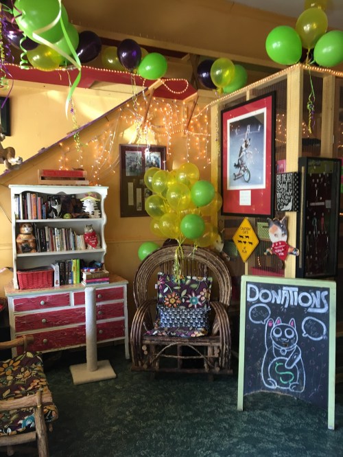 A cozy room decorated with balloons, fairy lights, and a chalkboard sign for donations, featuring a colorful chair and bookshelf.