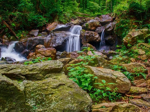 A serene waterfall cascades over large rocks, surrounded by lush green foliage in a tranquil forest setting.