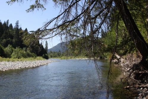A serene river flows through a lush landscape, surrounded by trees and mountains under a clear blue sky.