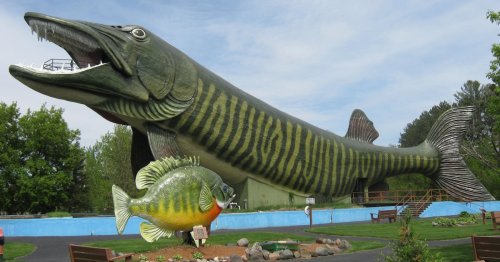 A giant fish sculpture, resembling a northern pike, towers over a smaller fish statue in a park setting.