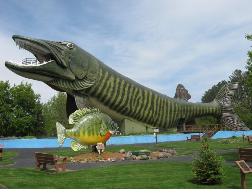 A giant fish sculpture resembling a muskie stands beside a smaller fish statue in a park setting.