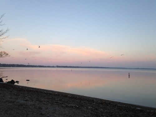 A serene lakeside view at dusk, with soft pink and blue hues in the sky and birds flying over calm waters.