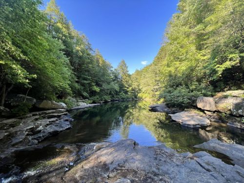 A serene river surrounded by lush green trees and rocky banks under a clear blue sky.