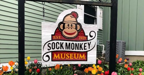 Sign for the Sock Monkey Museum, established 2019, surrounded by colorful tulips in a garden.
