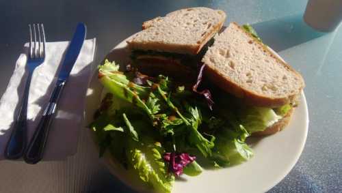 A plate with a sandwich made of whole grain bread and a side of mixed greens salad, with a knife and fork beside it.