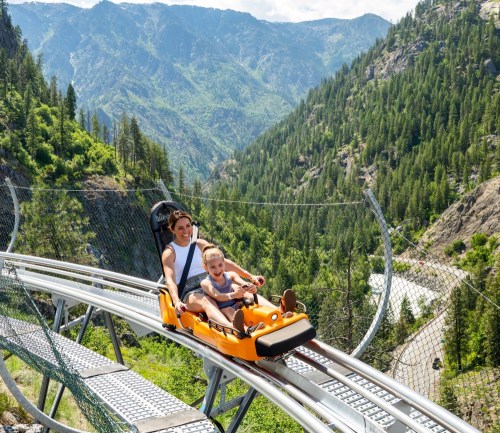 A woman and child enjoy a thrilling ride on a mountain coaster, surrounded by lush green trees and scenic hills.
