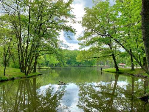 A serene lake surrounded by lush green trees, reflecting the sky and foliage in calm waters.