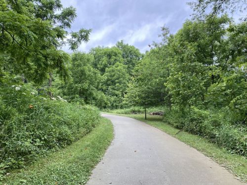 A winding path through a lush green forest under a cloudy sky.