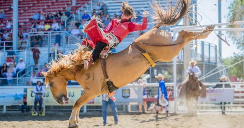 A rodeo rider in red gear is bucked off a rearing horse in an arena, with spectators in the background.