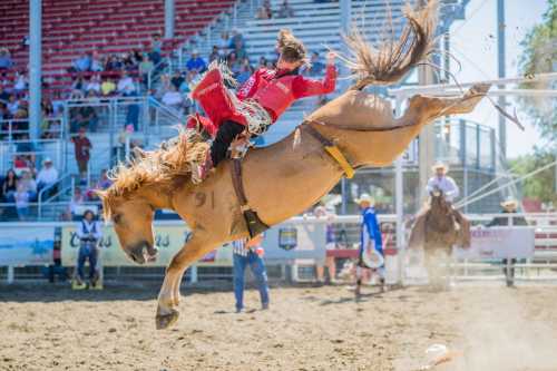 A rodeo rider in red gear is bucked off a rearing horse in a lively arena filled with spectators.