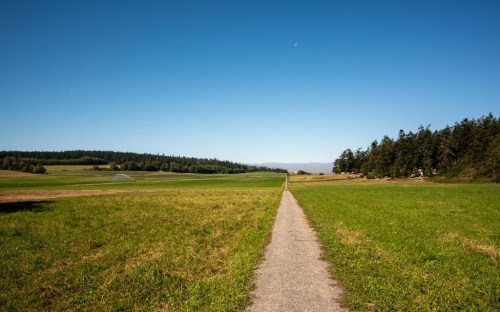 A gravel path stretches through a green field, bordered by trees under a clear blue sky.