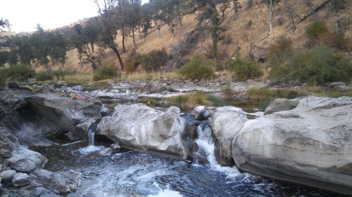 A serene river scene with smooth rocks, gentle waterfalls, and trees lining the banks in a natural landscape.