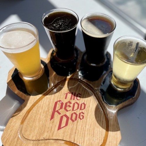 A wooden flight board holds four different beer samples, with a logo reading "The Redd Dog" in the center.