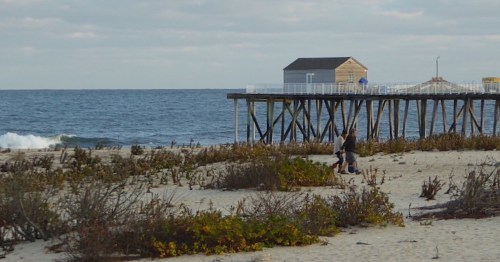 A sandy beach with a wooden pier in the background and two people near the shore, surrounded by sparse vegetation.