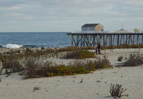 A sandy beach with a wooden pier in the background, waves crashing, and a person walking near coastal vegetation.