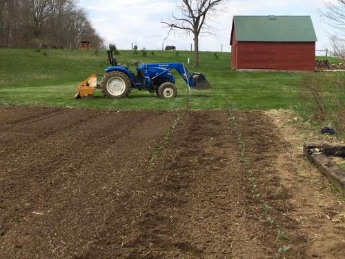 A blue tractor on a grassy field next to a red barn, with freshly tilled soil and rows of young plants.