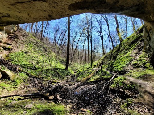 A view from a cave opening, showcasing a lush green valley with trees and a small stream under a clear blue sky.