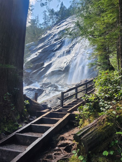 A wooden staircase leads to a waterfall cascading down a rocky cliff, surrounded by lush green trees.