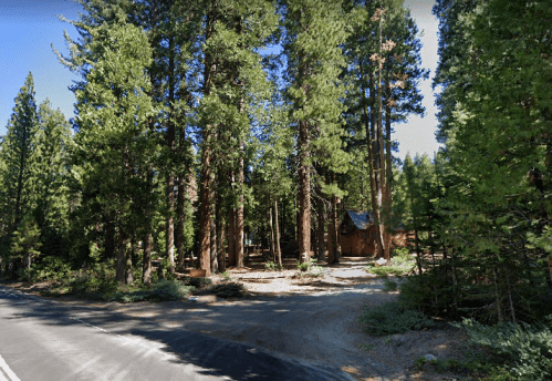 A rustic cabin nestled among tall trees beside a winding road in a forested area.