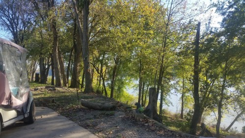 A serene riverside scene with trees, a path, and a glimpse of water in the background on a sunny day.