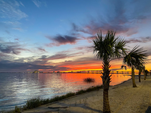 Sunset over a calm bay, with palm trees in the foreground and vibrant colors reflecting on the water.