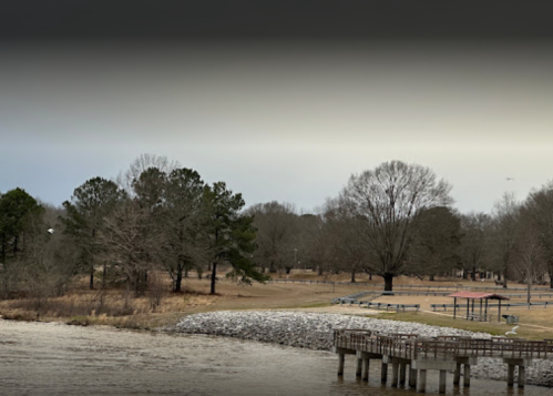 A serene park scene with a river, trees, and a wooden pier under a cloudy sky.
