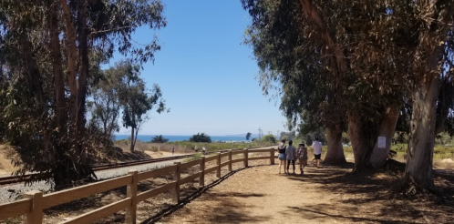 A scenic path lined with trees leads to the ocean, with people walking along the trail on a sunny day.