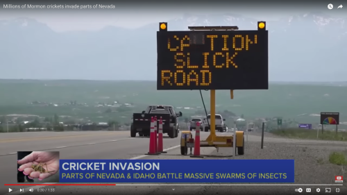 A digital road sign warns of slick roads amid a cricket invasion in Nevada, with vehicles passing by.