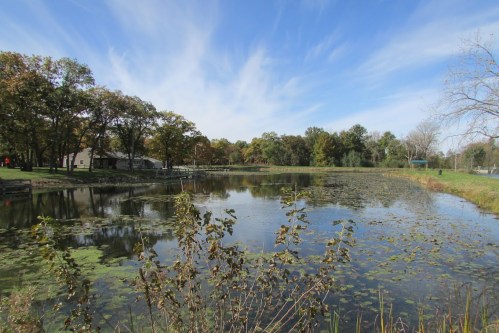 A serene pond surrounded by trees and greenery under a blue sky with wispy clouds.