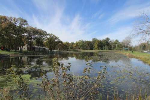 A serene pond surrounded by trees and greenery under a blue sky with wispy clouds.