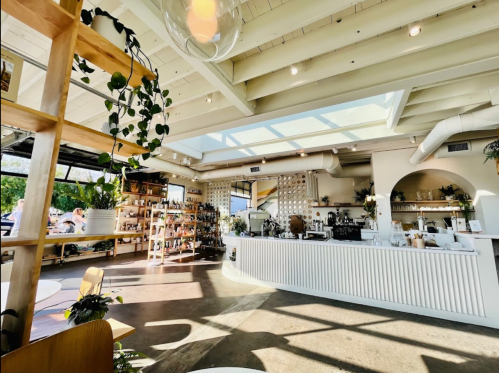 Bright café interior with a skylight, plants, and a white counter, featuring shelves filled with products and a cozy atmosphere.
