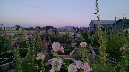 A garden at dusk with blooming flowers, raised beds, and distant mountains under a pastel sky.
