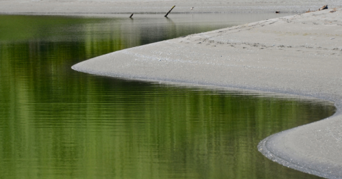 A serene shoreline with gentle curves, reflecting green trees in calm water under bright sunlight.