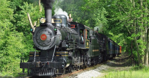 A vintage steam locomotive travels along a tree-lined track, billowing smoke into the green surroundings.