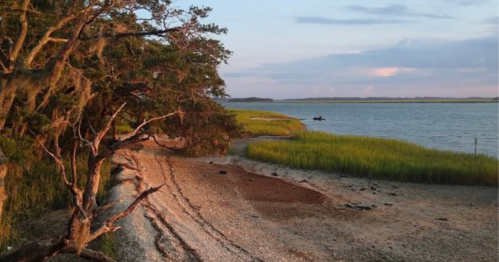 A serene coastal scene with a sandy shore, lush green grass, and calm water under a pastel sky at sunset.