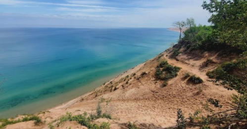A scenic view of a sandy shoreline meeting a calm blue ocean under a clear sky, with greenery along the coast.